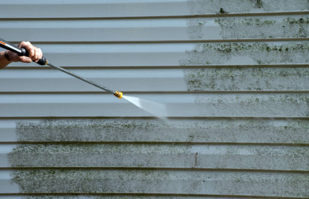 Solar Panel Cleaning in Bay Pines, FL