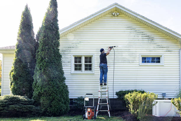 Best Driveway Pressure Washing  in Bay Pines, FL